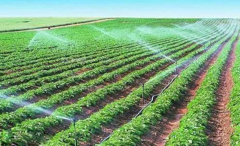 1脱2摸3吻4桶免费网站农田高 效节水灌溉